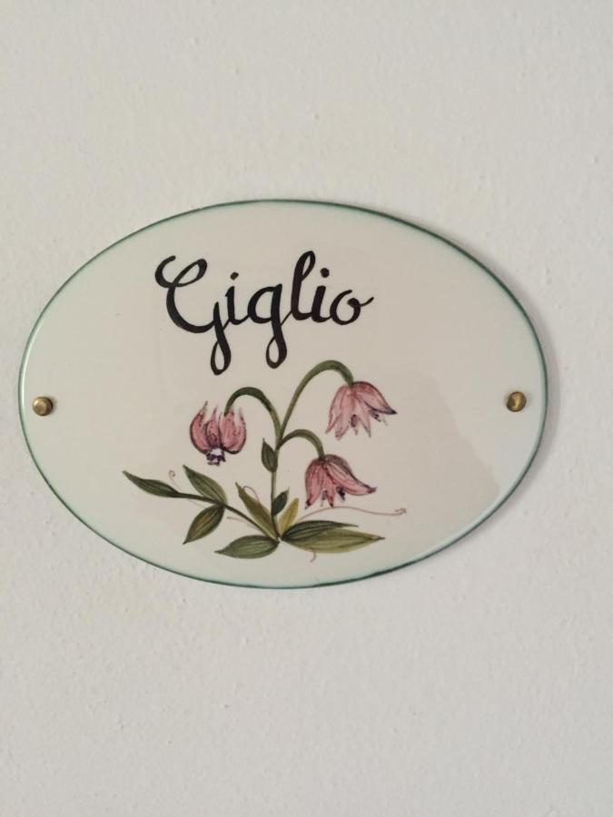 Qui Wolf Udine Hotel Collalto Bagian luar foto
